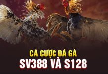 Đá gà Vegas79 – Chơi đá gà trực tuyến tỷ lệ ăn cực cao Ảnh 2: Ưu điểm của cá cược đá gà Online