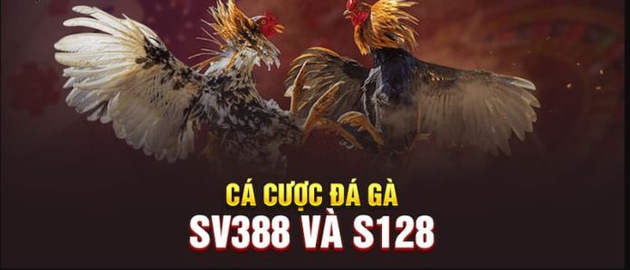 da-ga-vegas79-2 Ảnh 2: Ưu điểm của cá cược đá gà Online