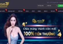 Tổng quan về đánh giá Vegas79 chi tiết từ A đến Z, chuẩn xác Ảnh 4: Dịch vụ CSKH